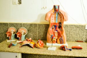 WhatsApp Image 2022-06-21 at 12.02.48 PM